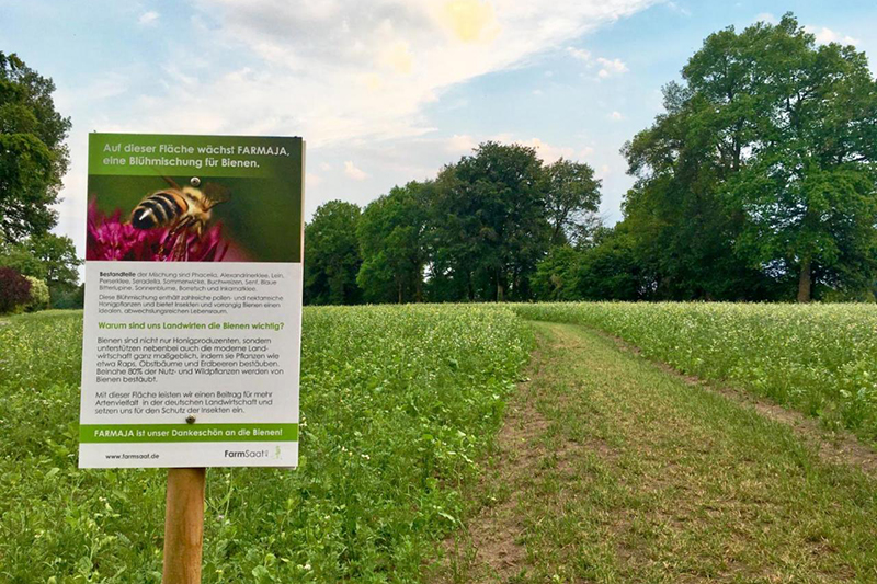 Blühmischung FARMAJA