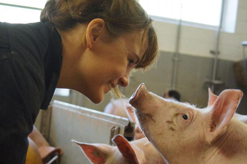 Stallkonzept für ökologische. konventionelle Tierhaltung