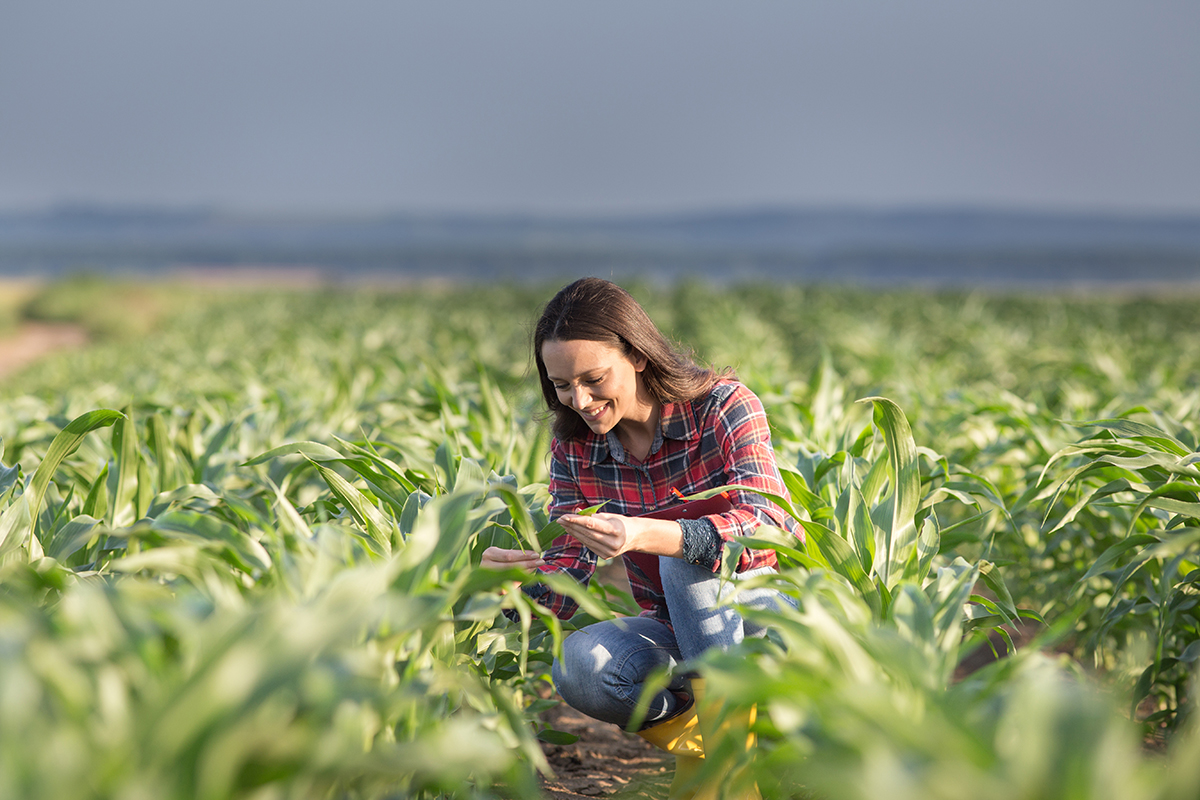 farmpartner werden