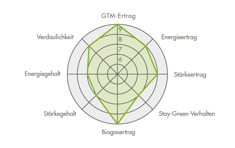 Ertragsdiamant für die Maissorte FARMARQUEZ 2023 (Silomais)