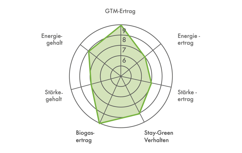 Ertragsdiamant für die Maissorte FARMUREI 2023 (Silomais) Ertragsdiamant für die Maissorte FARMUREI 2023 (Silomais)