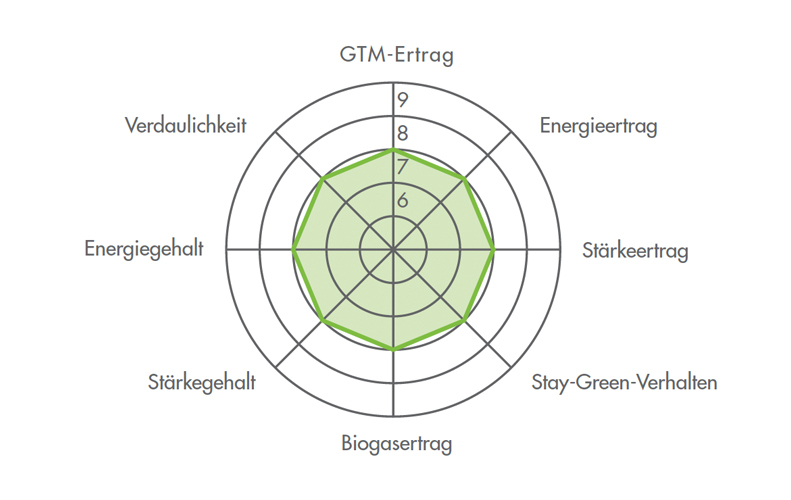 Ertragsdiamant für die Maissorte GULLIVER 2023 (Silomais)