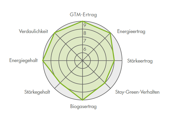 Silo FARMBEAT Ertragsdiamant für die Maissorte FARMROCK 2023 (Silomais)