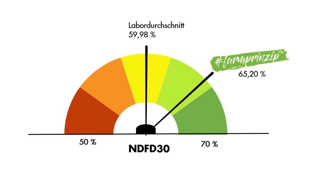 NdFD30 Giagramm