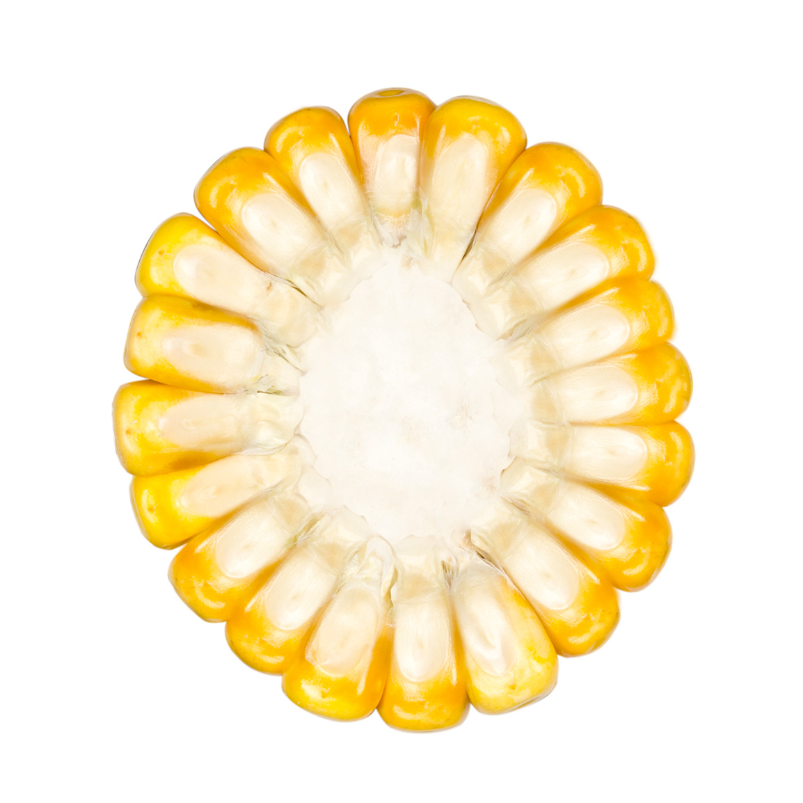 farmoritz