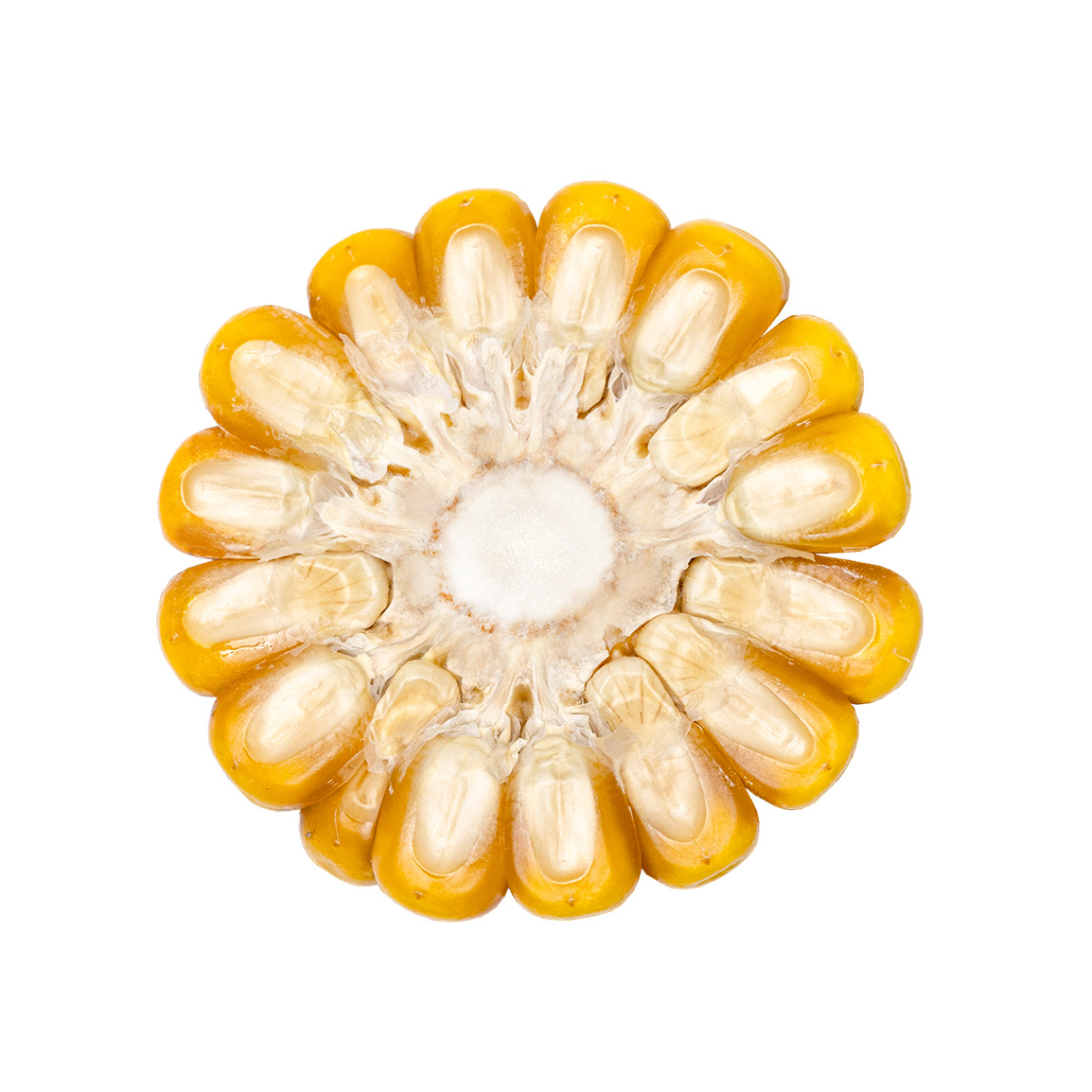 farmactos