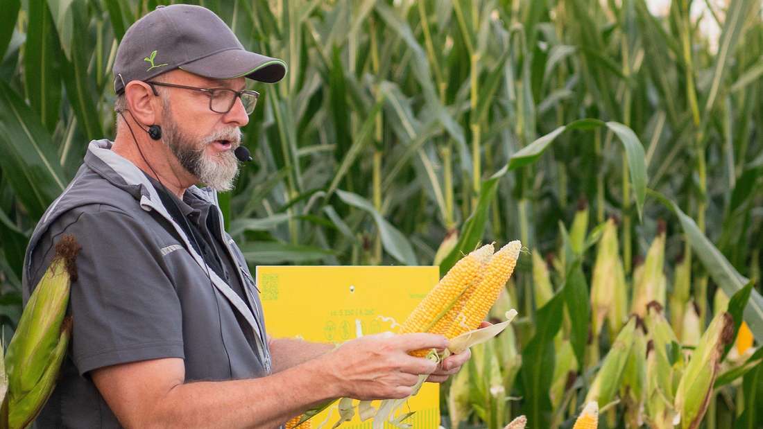 Der Mais-Experte Markus Simons erklärt auf einem Maisfeld den optimalen Erntezeitpunkt.