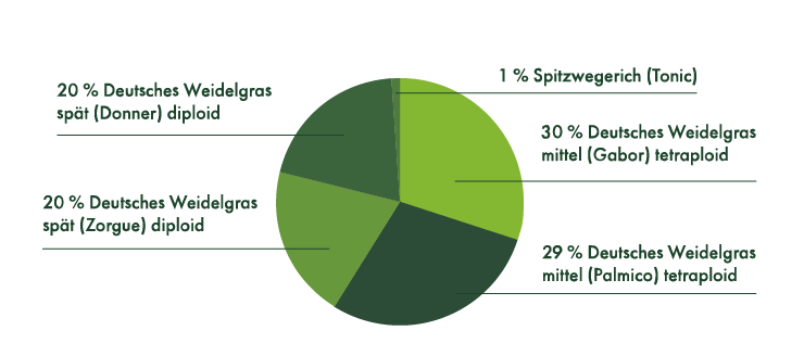 20 % Deutsches Weidelgras spät (Donner) diploid, 20 % Deutsches Weidelgras spät (Zorgue) diploid, 1 % Spitzwegerich (Tonic), 30 % Deutsches Weidelgras mittel (Gabor) tetraploid, 29 % Deutsches Weidelgras mittel (Palmico) tetraploid.