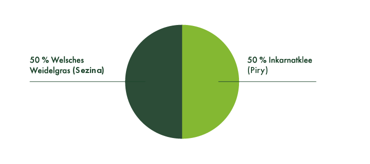 50% Welsches Weidelgras (Meldela), 50% Inkarnatklee (Kardinal).