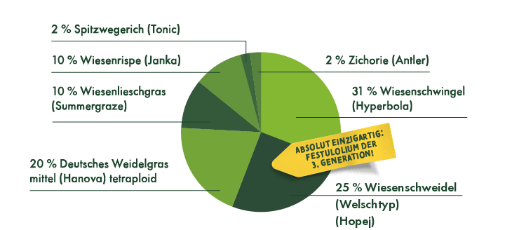 2 % Spitzwegerich (Tonic), 10 % Wiesenrispe (Janka), 10 & Wiesenlieschgras (Summergraze), 20 % Deutsches Weidelgras mittel (Hanova) tetraploid, 2 % Zichorie (Antler), 31 % Wiesenschwingel (Hyperbola), 25 % Festulolium (Hopej).